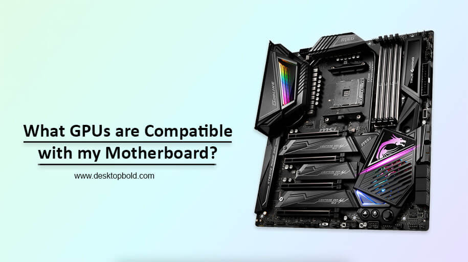 What GPUs are Compatible with my Motherboard